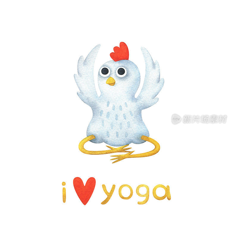 滑稽的瑜伽姿势的白色小鸡。一套水彩插图，其中有一只小鸟在Baddha Konasana(绑定角度姿势)和文字“我爱瑜伽”。股票图像可爱的贴纸孤立在一个白色的背景。